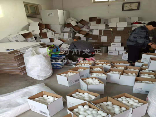 纖維球?yàn)V料出口紙箱包裝